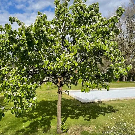 La Croix Des Granges 3*
