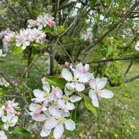 La Croix Des Granges Bed and breakfast