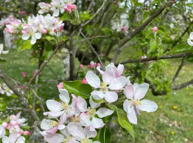 La Croix Des Granges Bed & Breakfast